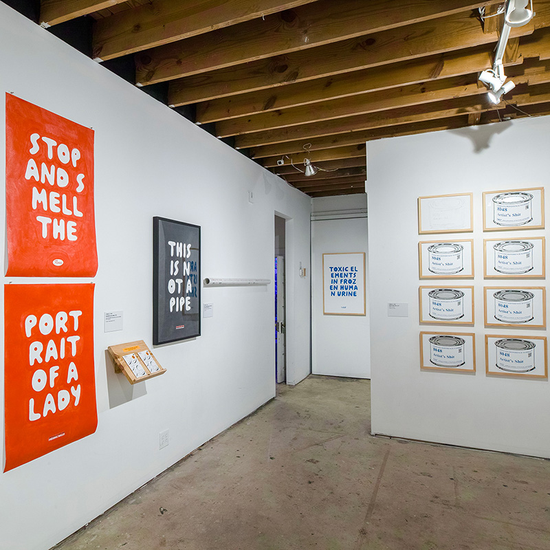 installation view 14