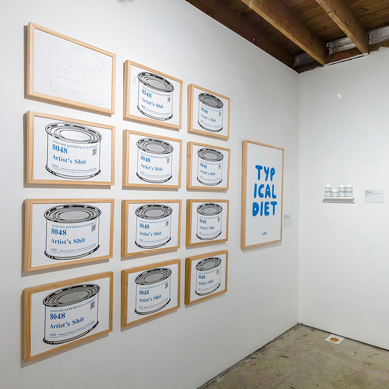 installation view 15