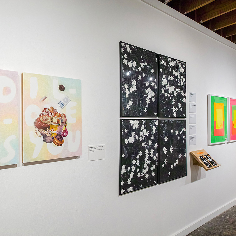 installation view 7